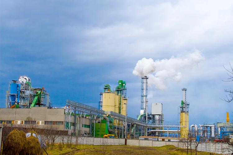 林產化工 探尋森林資源的化學密碼與綠色未來